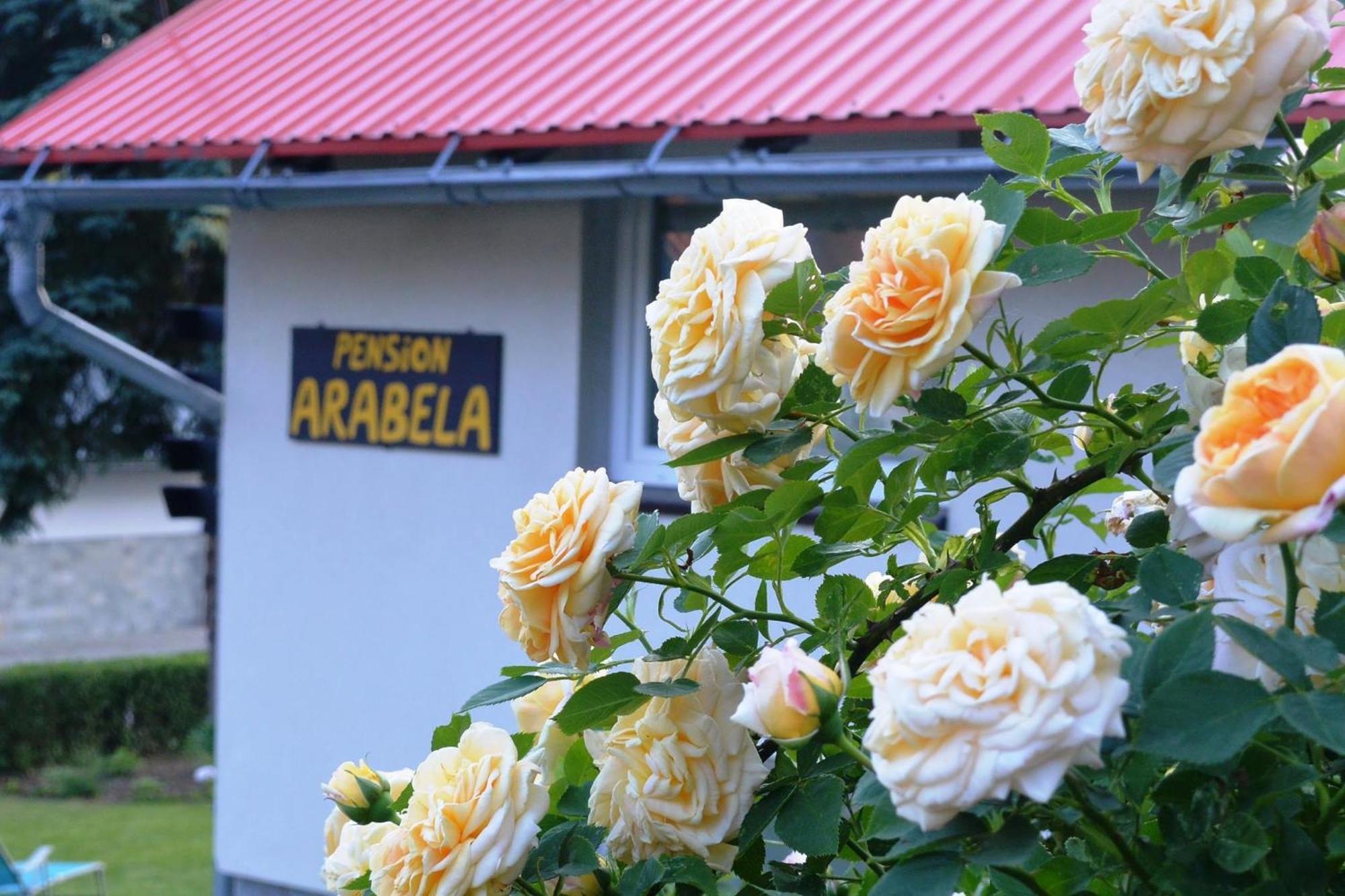 Pension Arabela Harrachov Exterior photo